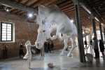 "The Horse Problem" Claudia Fontes 57 биеннале